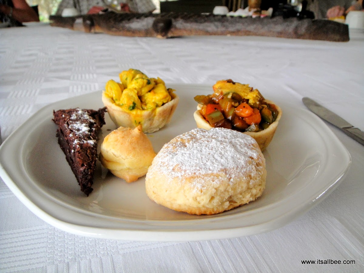 Livingstone Island Hightea | Exploring Livingstone Island on Victoria Falls