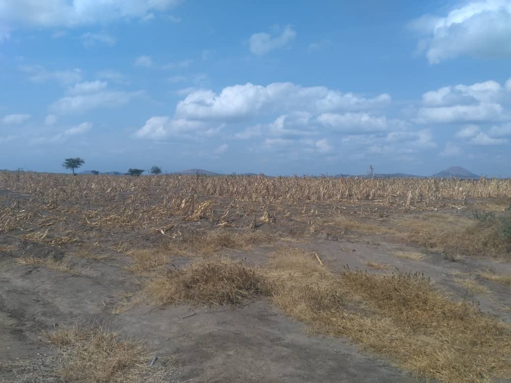 Rent house in Tanzania Arusha rent homes, Houses for sale,vacation