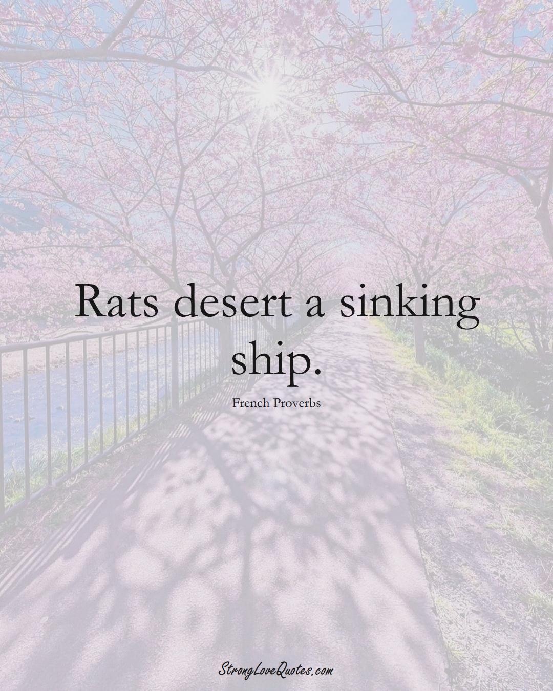 Rats desert a sinking ship. (French Sayings);  #EuropeanSayings