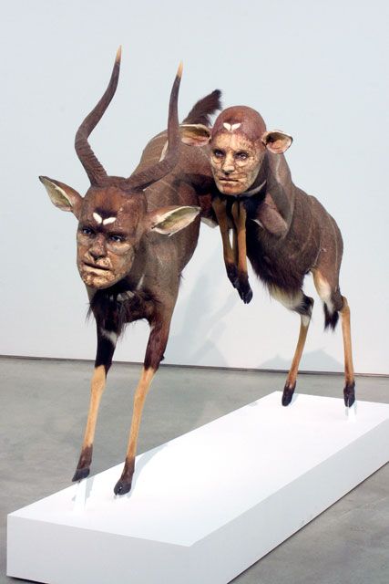 kate clark esculturas animais bizarros com rostos humanos