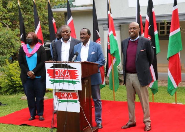 Kalonzo Musyoka with OKA principle photo