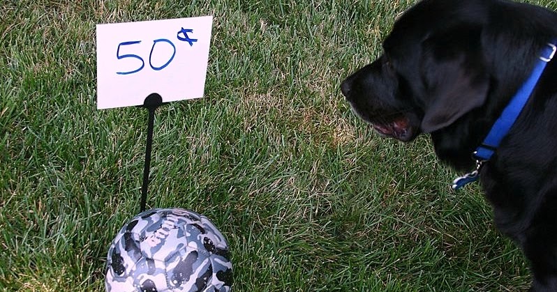 FRIDAY FUNNY 2.0: Interactive Garage Sale Humor | OKC Craigslist Garage