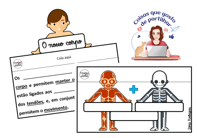 Perguntas de Português e de Estudo do Meio - 1.º ciclo - 2.º ano