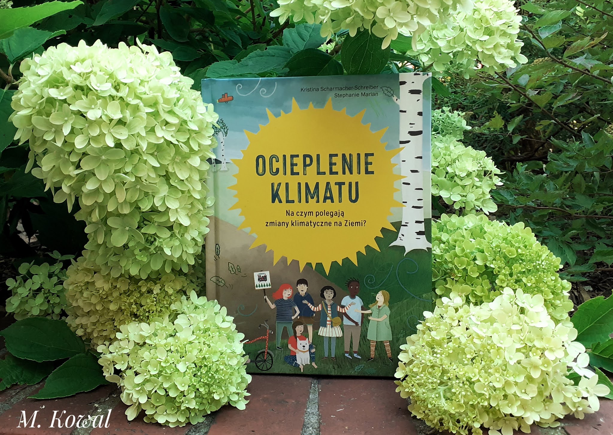 książka Ocieplenie klimatu, wydawnictwo Babaryba