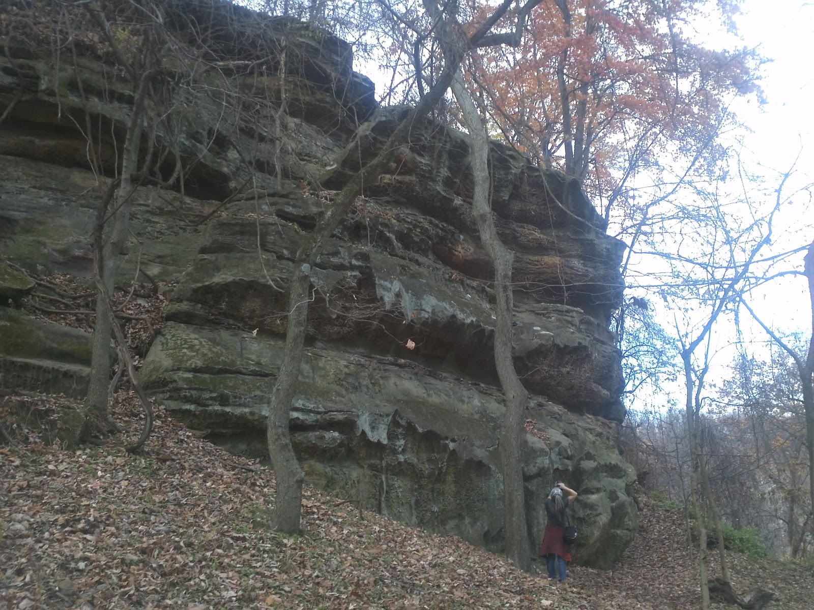 Mama's Wordless Wednesday LinkUp 5 Rising Park and Mount Pleasant