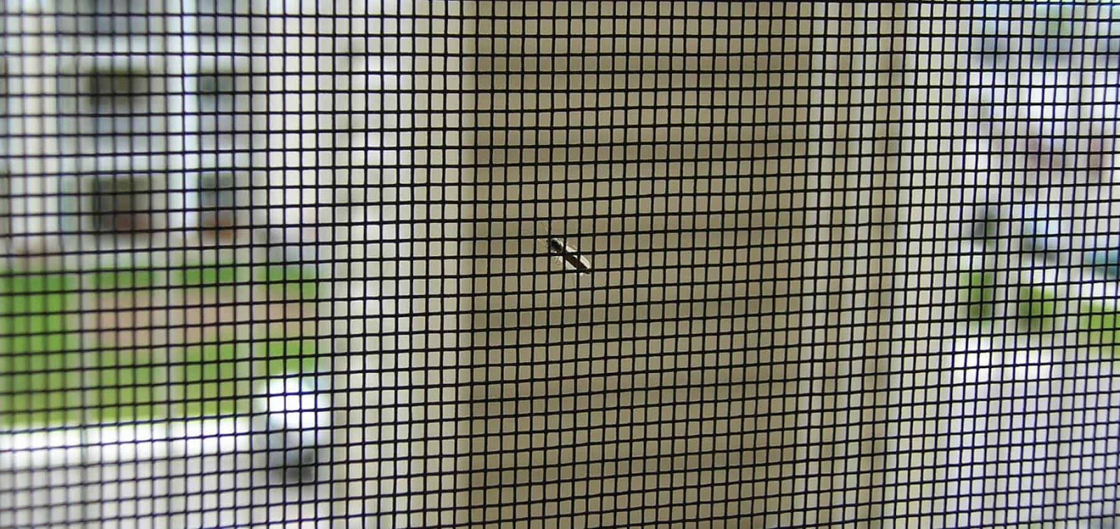 Fly Screens | Insect Screens