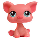 Littlest Pet Shop Pet Pairs Pig (#330) Pet