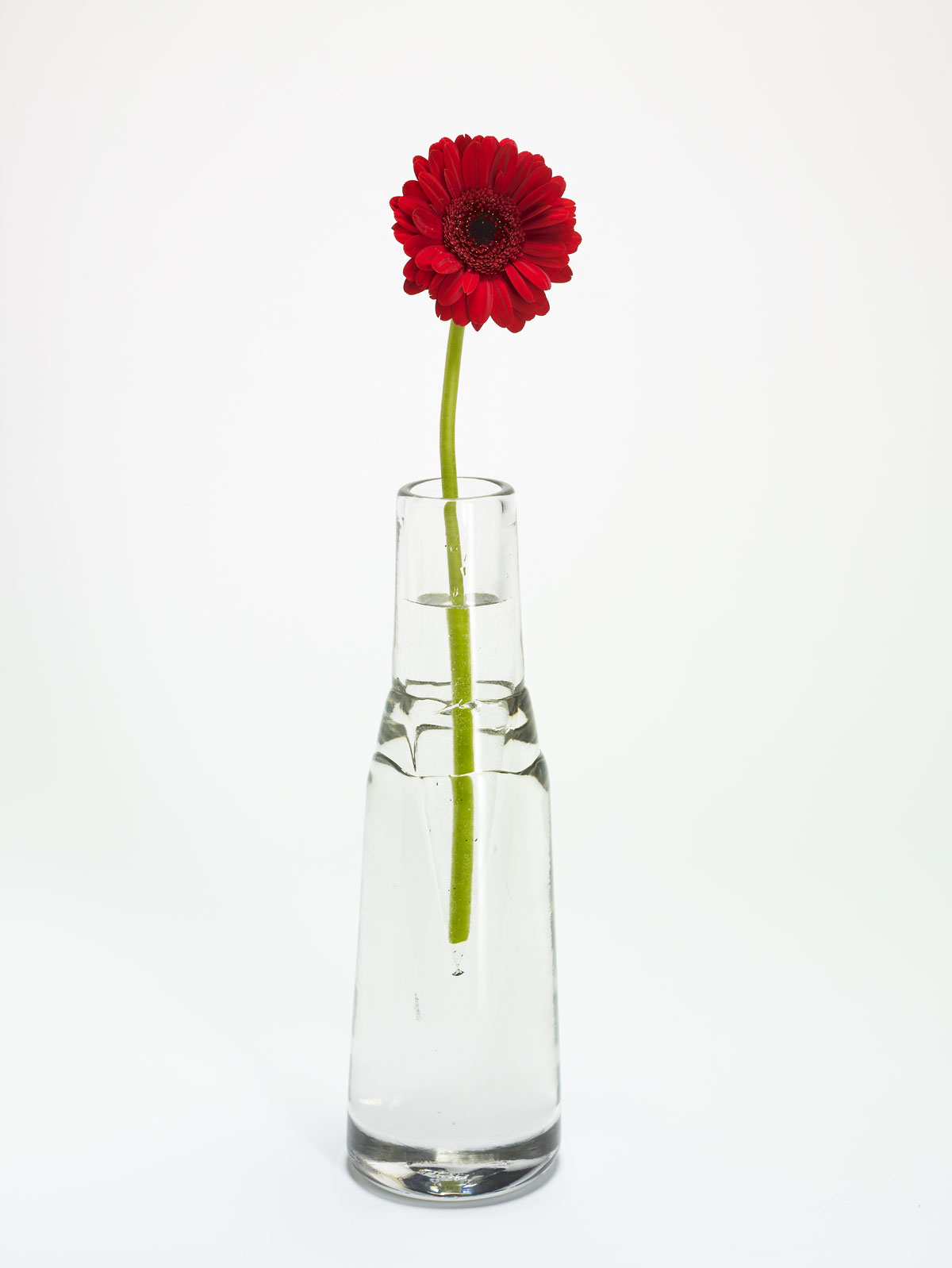 Avacado In Water Vase With Flowers 117