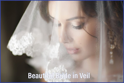 Beautiful Bride in White Veil