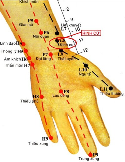 huyệt kinh cừ