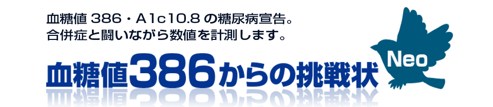 血糖値386からの挑戦状-NEO