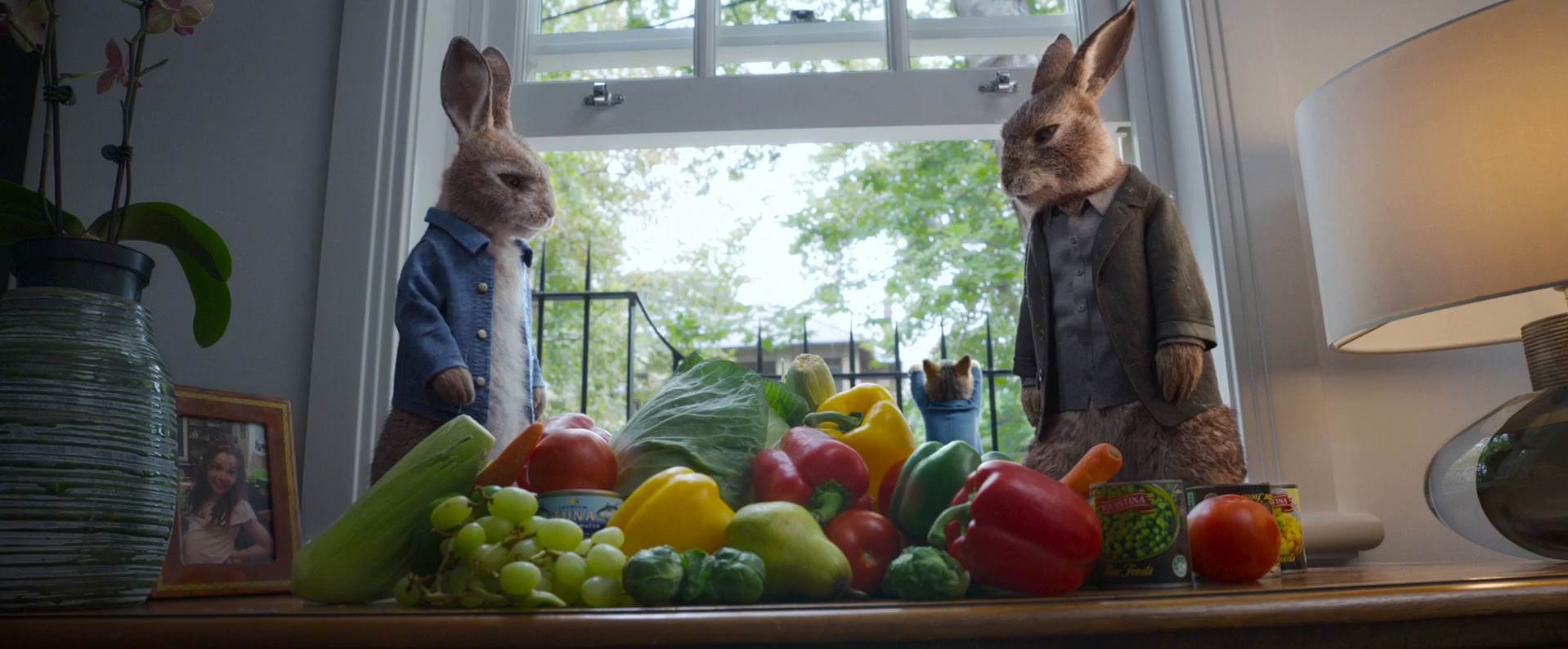 Peter Rabbit 2 Conejo en Fuga 2021 HD 1080p Latino 2