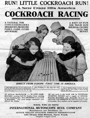 Cockroach Racing