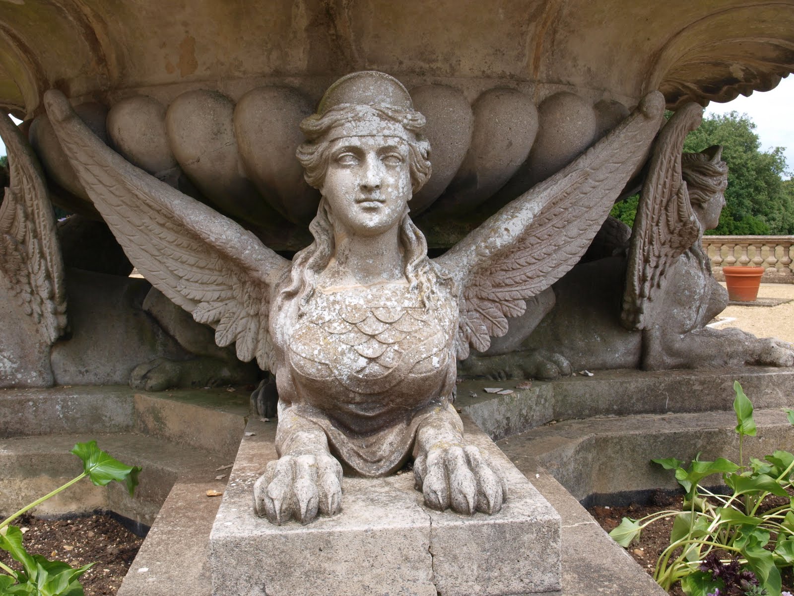 Ragged Robin's Nature Notes Osborne House and a Cream Tea at Ventnor