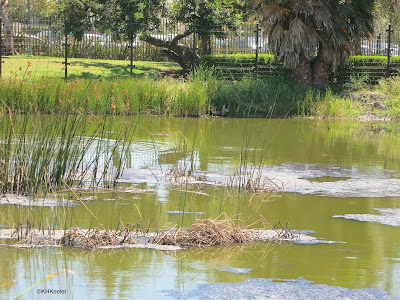 La Brea Tar Pits in Los Angeles, CA La Brea Tar Pits in Los Angeles, CA
