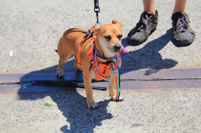 2019 Boston Pride parade