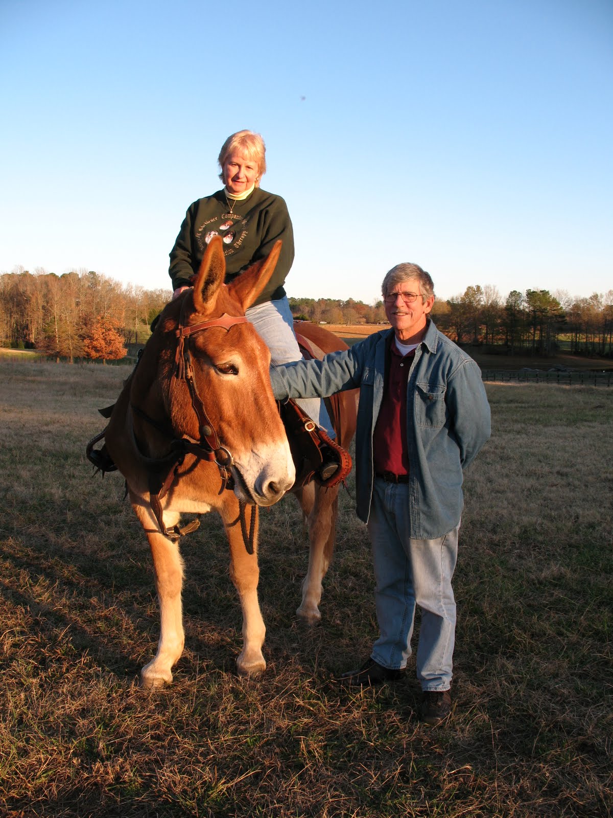 St.Clair Red Mule Farm Mule & Donkey Adventures A RED MULE FARM
