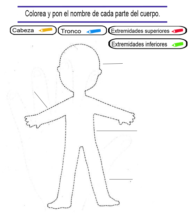 Actividades para primer grado abril 2020