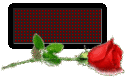 16067-.gif