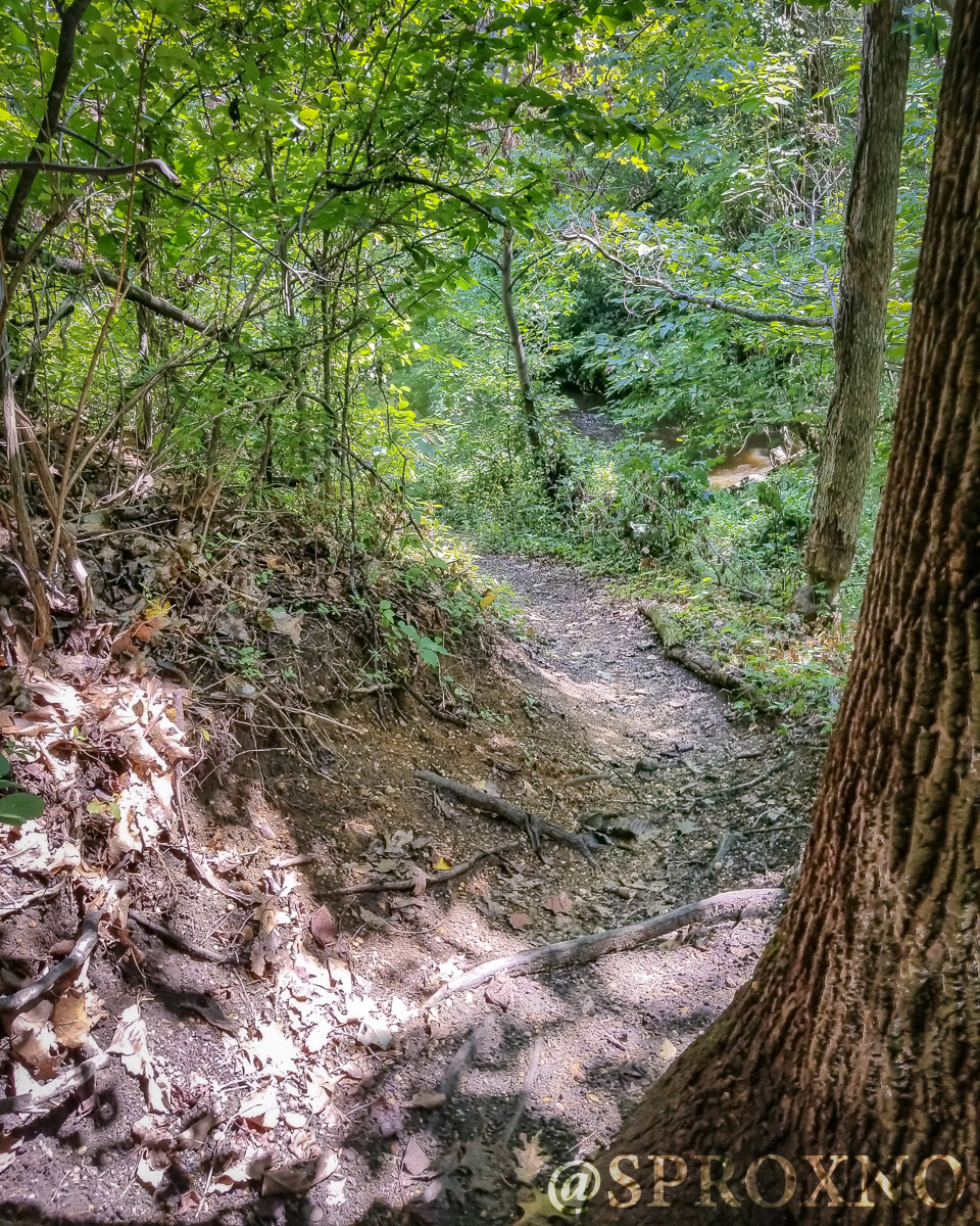 Woods of Wenonah Trail Pushing Myself