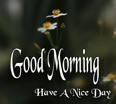 Good Morning Images Good Morning Images