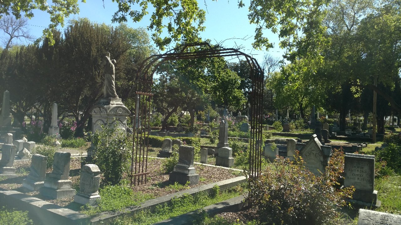 Cemetery rose garden loses some charm