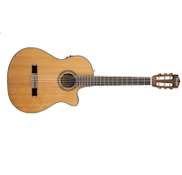 guitar-fender-cn240sce.png