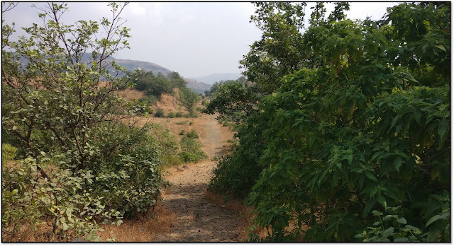 Dukes Nose,nagphani trek