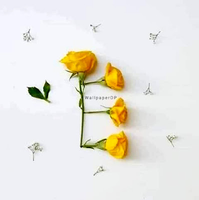 Real flower Unique A to Z Alphabet dp pics for Whatsapp Facebook