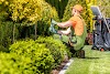 Lawn Care and Landscaping Service Options