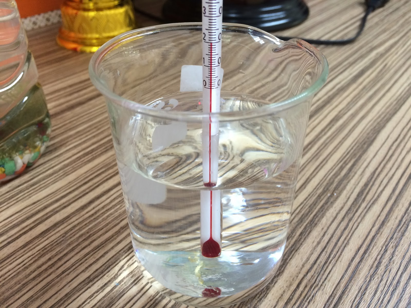 Mr. Gary's Science Class: Fish