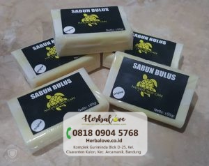 supplier sabun bulus Kupang” height=