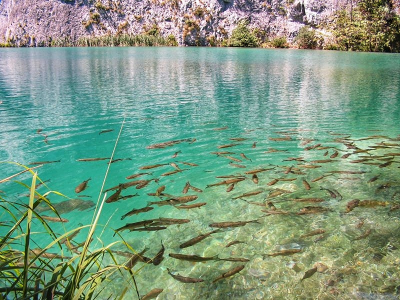 parco nazionale laghi Plitvice