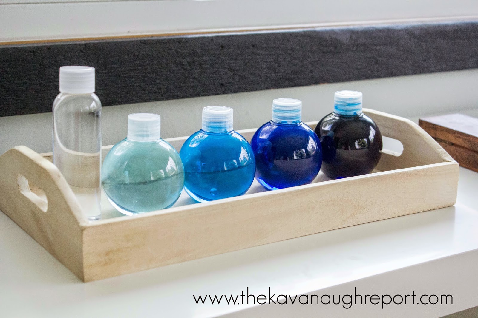 Zones of the Ocean Sensory Bottles