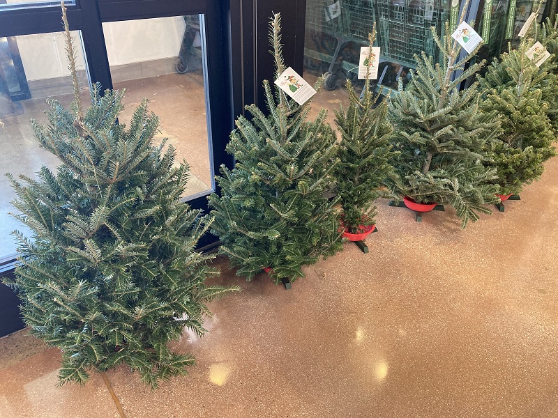 Thanksgiving Grocery Shopping at Whole Foods It has grown on me!