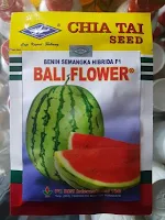 semangka bali flower, jual benih terbaru, benih cap Kapal terbang, toko pertanian, online, lmga agro