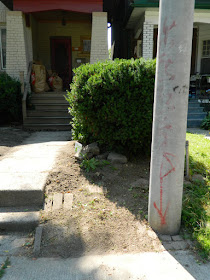 Front garden clean up Leslieville after Paul Jung Gardening Services