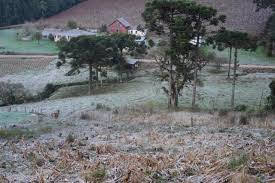 A foto mostra a neve no campo ao amanhecer e já congelada na Região Sul do Brasil. A foto mostra a neve no campo ao amanhecer e já congelada na Região Sul do Brasil.