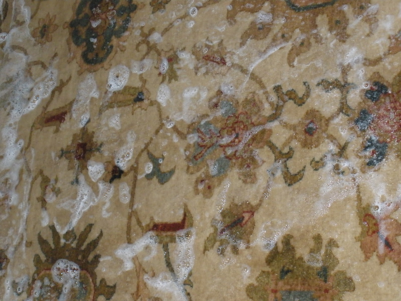 Oriental Rug Cleaning Tips and Precautions