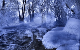 HD WALLPAPERS: WALLPAPERS OF WINTER
