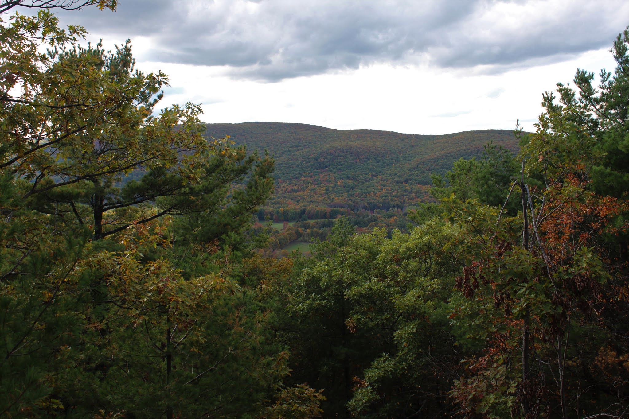 Walking Man 24 7 Maple Hill WMA(Berkshires)