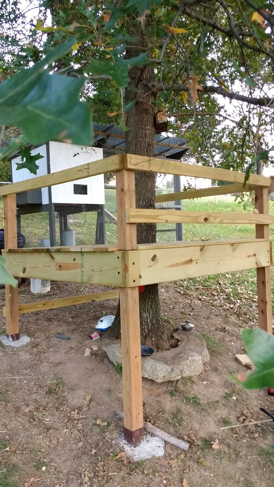 Banter of a Blond Republican Couple: Tree Platform