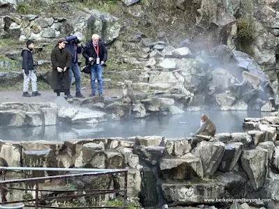 hot spring at Jigokudani Yaen-Koen Snow Monkey Park in Nagano, Japan