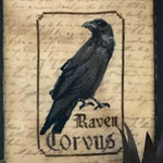 THE RAVEN