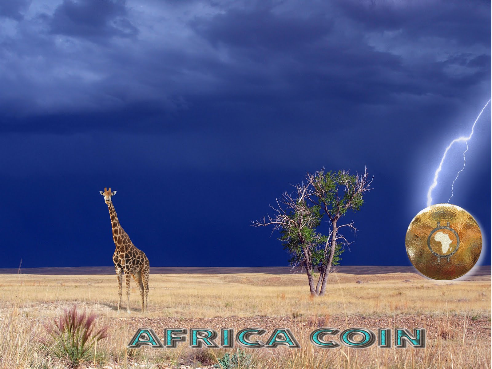 THE AFRICA COIN - LIGHTNING