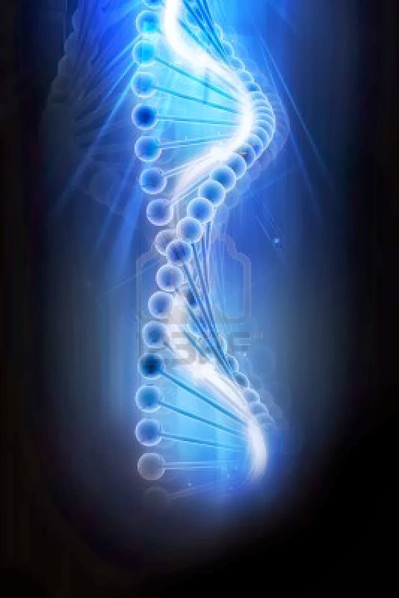 DNA 3D view HD ~ Human Anatomy science diagrams 