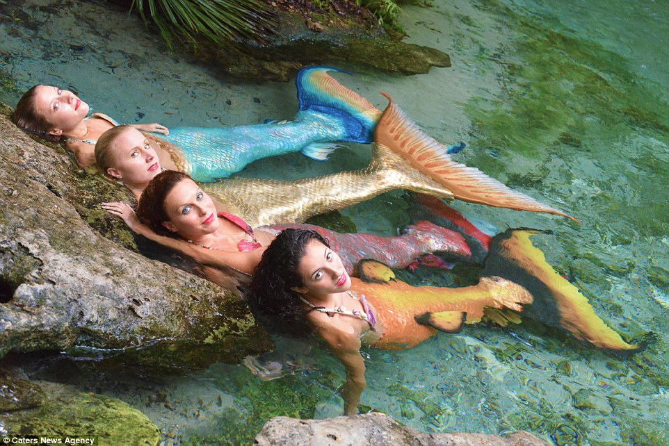 русалка живая в реальной жизни. где жила русалка. русалка finfolk. друг русалки. интересные миф про русалку.