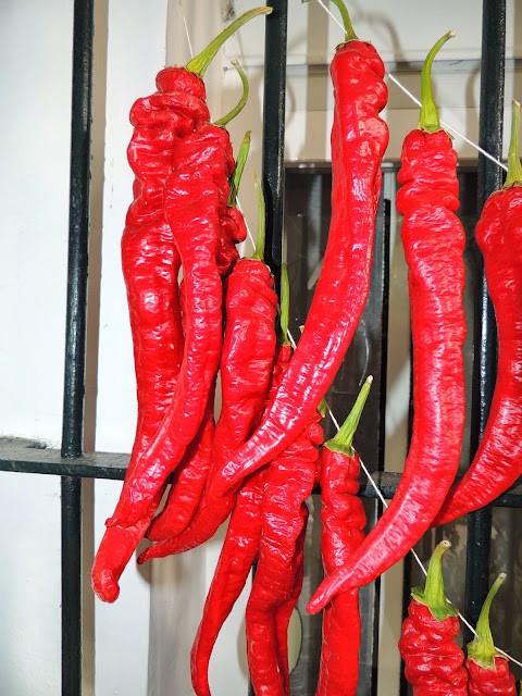 PIMIENTOS-CORNETAS ROJAS EN COLGADERO EN LA REJA DE LA VENTANA