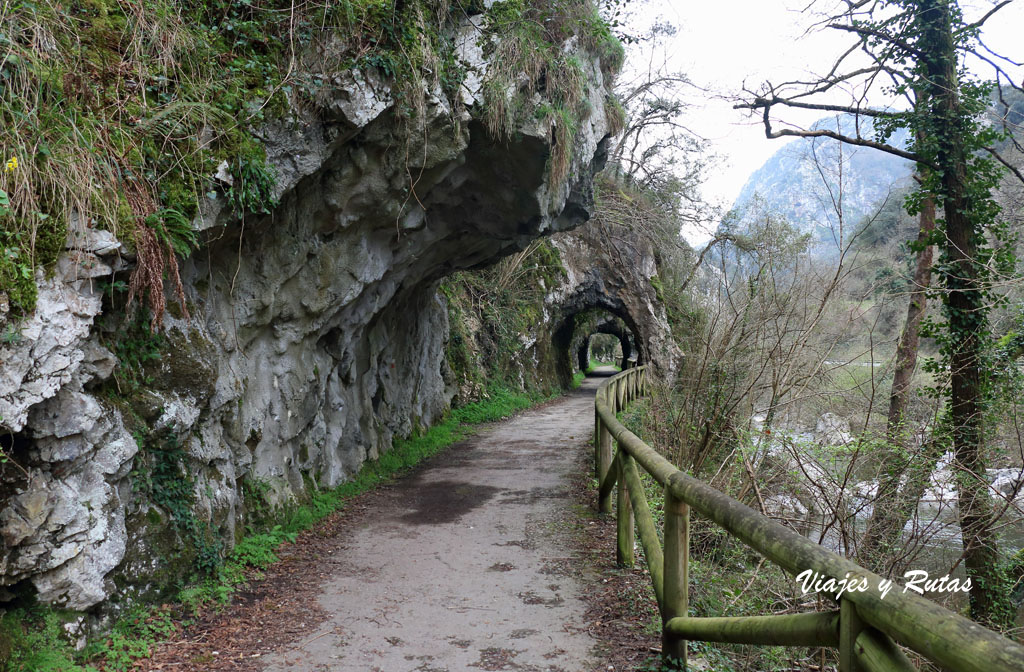 Senda del oso, Asturias