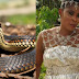 Delta woman dies from snake bite hours after marrying her pastor